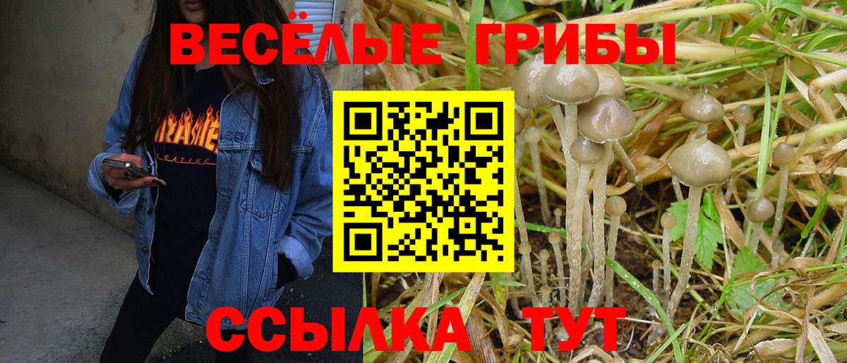 Галлюциногенные грибы прущие грибы  Галлюциногенные грибы Psilocybine cubensis  Вход с VPN  Узловая 