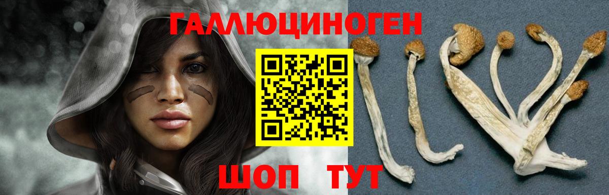 Псилоцибиновые грибы Magic Shrooms Узловая